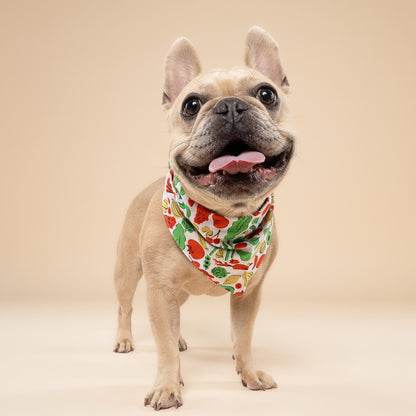 Farmers Market Dog Bandana