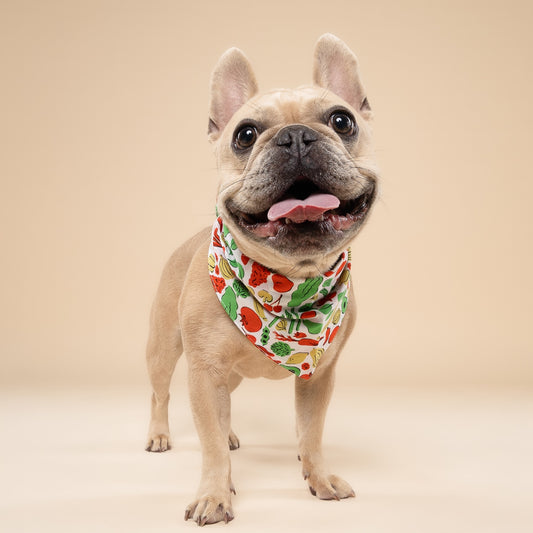 Farmers Market Dog Bandana